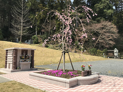安養寺の送骨納骨