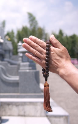 納骨寺院多数あります