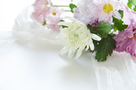 永代供養ネットの送骨納骨