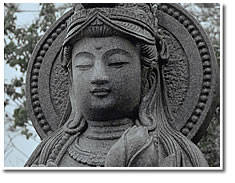 送骨納骨は2.5万円から。